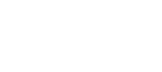 logo_partner_asseco